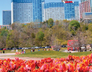 Niagara Falls