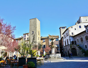 VITERBO