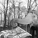 Tierpark Cottbus outside