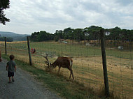 Ferme Auberge Du Bas Chalus outside