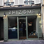 Rhizome outside