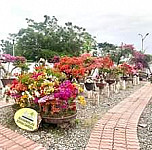 Sarangani Highlands Garden And Gensan outside