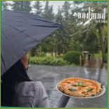 Bamboo Bistro Étel