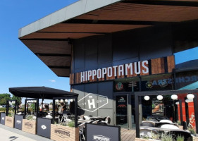 Hippopotamus outside