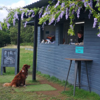 The Cabin At Berretts Farm outside