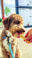 Andy's Frozen Custard food