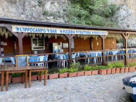 Trattoria Ippocampo inside