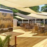 Pikanto Kint