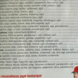 Al Capone Pizza (kerepes) Bent