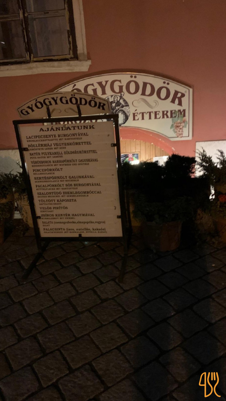 Gyogygoedoer Borozo Kint