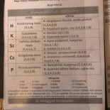 Böki Fagyizó és Falatozó Bent