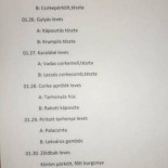 Gyöngyvirág Étkezde és Cukrászda Bent