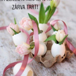 Pizzaház Csongrád Étel
