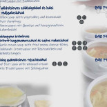 Sündörgő Vendéglő Étel