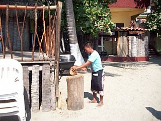 La Palapa