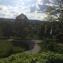 Waldwirtschaft am Goegerl