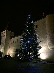 Caveau de Nyon