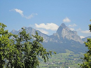 Insel- Restaurant Schwanau