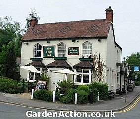 The White Lion - Allesley