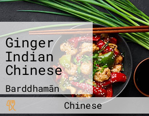 Ginger Indian Chinese