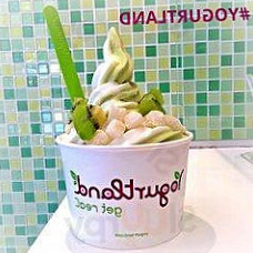 Yogurtland Garden Grove