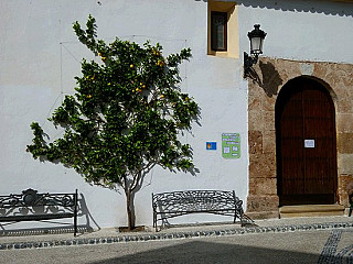 El Calabazo