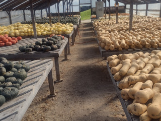 Crestholm Farm Stand Ice Cream