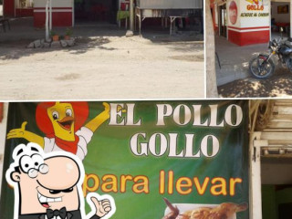 Pollo Gollo