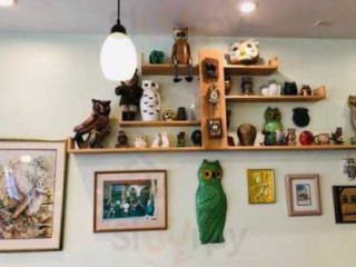 Green Owl