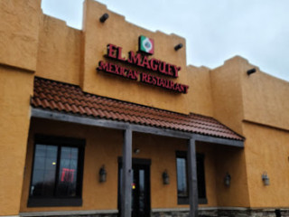 El Maguey