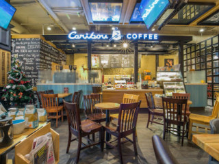 Caribou Coffee