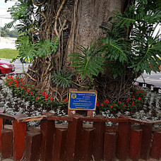 Panificadora Flor De Guararema