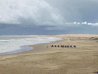 CREST Birubi Beach