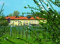 Steigenberger Deidesheim