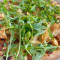 Organic Chicken Flat Bread