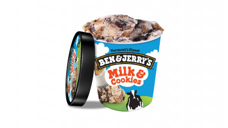 Ben Jerry Tejes Süti