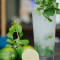 Níng Méng Báo Hé Qì Pào Yǐn Mojito Breeze