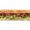 Bbq Pulled Pork Subway Footlong Reg;