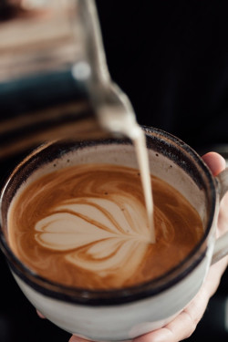 Sugar Cookie Mandulatej Latte