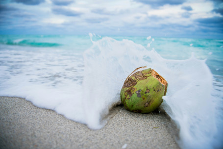 Dunkin Coconut Frissítők