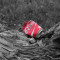 Coca Cola 0,45 Liter