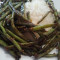 Dry Sauteed String Bean