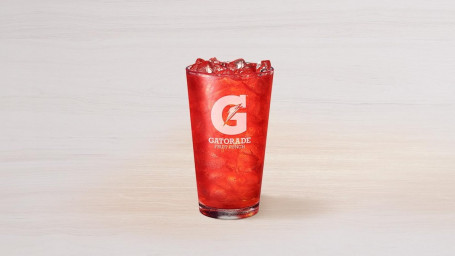 G2 Gatorade Fruit Punch