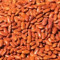 Red kidney bean