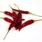 Dried chipotle chiles