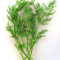 Friss Dill Friss Dill