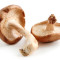 Shiitake Gomba