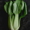 Bok choy Bok choy